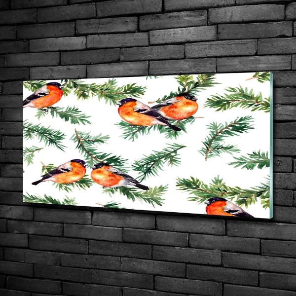 Quadro vetro Pettirosso su una conifera