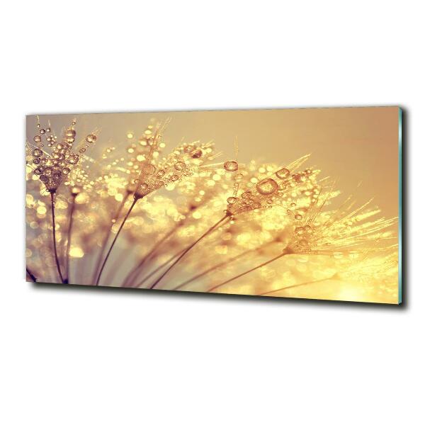 Quadro in verde Semi di tarassaco