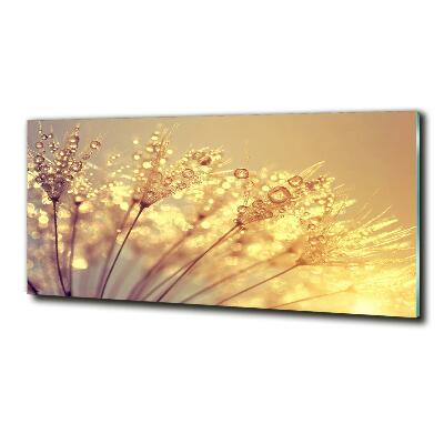 Quadro in verde Semi di tarassaco