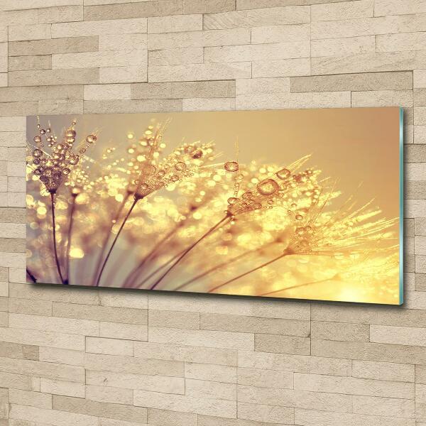 Quadro in verde Semi di tarassaco