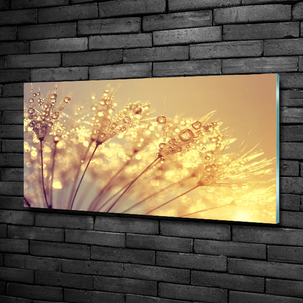 Quadro in verde Semi di tarassaco