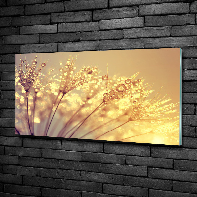 Quadro in verde Semi di tarassaco