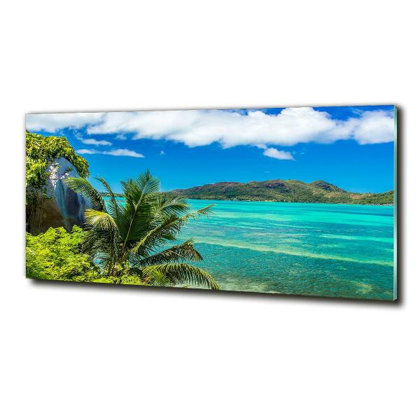 Quadro su vetro Costa delle Seychelles