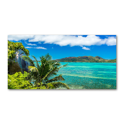 Quadro su vetro Costa delle Seychelles