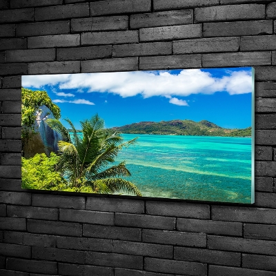 Quadro su vetro Costa delle Seychelles