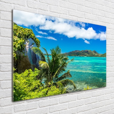 Quadro su vetro Costa delle Seychelles