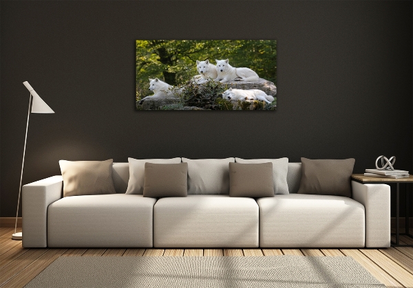 Quadro su vetro I lupi bianchi spaccano