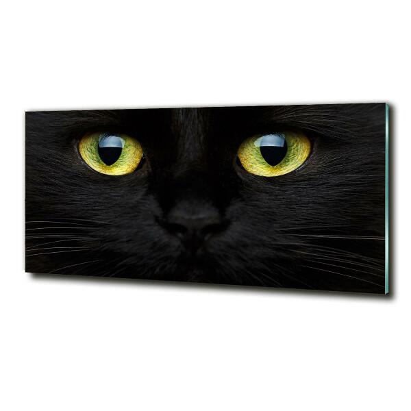 Quadro vetro Occhi di gatto