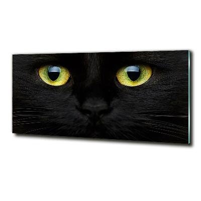 Quadro vetro Occhi di gatto