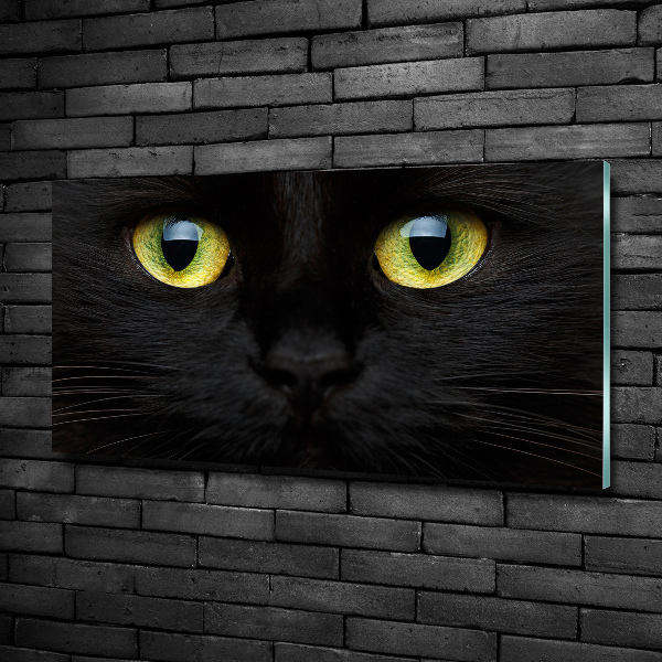 Quadro vetro Occhi di gatto