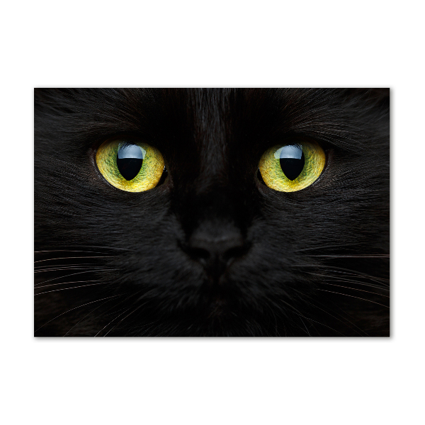 Quadro vetro Occhi di gatto