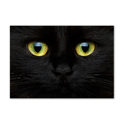 Quadro vetro Occhi di gatto