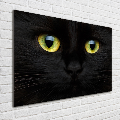 Quadro vetro Occhi di gatto