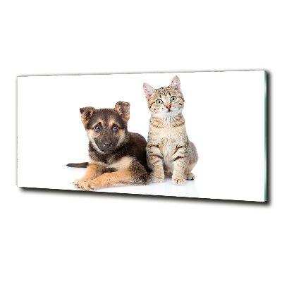 Quadro in vetro Cane e gatto
