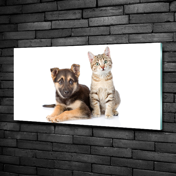 Quadro in vetro Cane e gatto