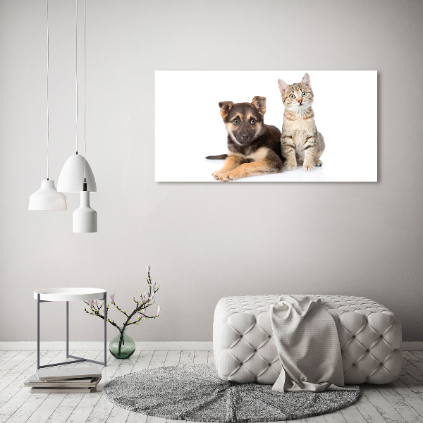 Quadro in vetro Cane e gatto