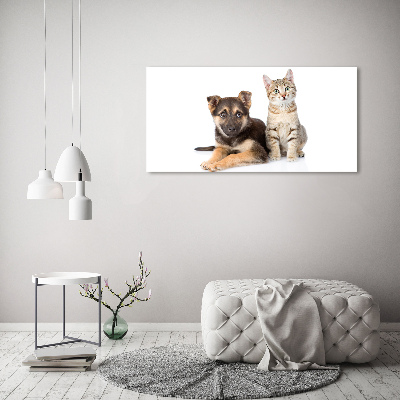 Quadro in vetro Cane e gatto