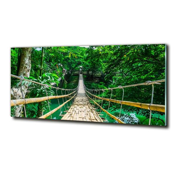 Quadro su vetro Ponte nella foresta tropicale