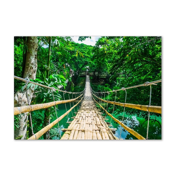 Quadro su vetro Ponte nella foresta tropicale