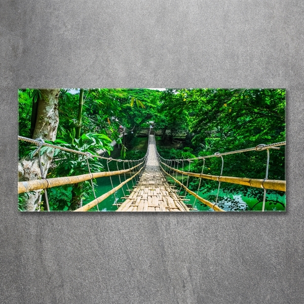 Quadro su vetro Ponte nella foresta tropicale