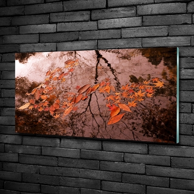 Quadro su vetro Foglie sull'acqua