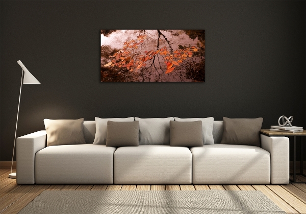 Quadro su vetro Foglie sull'acqua