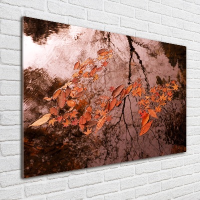 Quadro su vetro Foglie sull'acqua