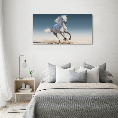 Quadro vetro Un cavallo bianco al galoppo