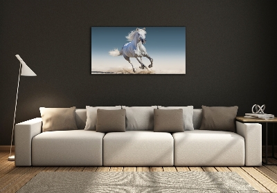 Quadro vetro Un cavallo bianco al galoppo