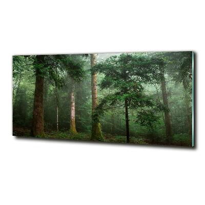 Quadro vetro Nebbia nella foresta