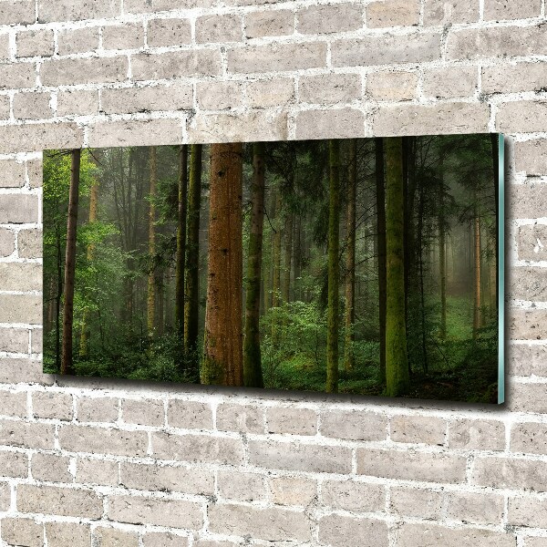 Quadro in verde Nebbia nella foresta