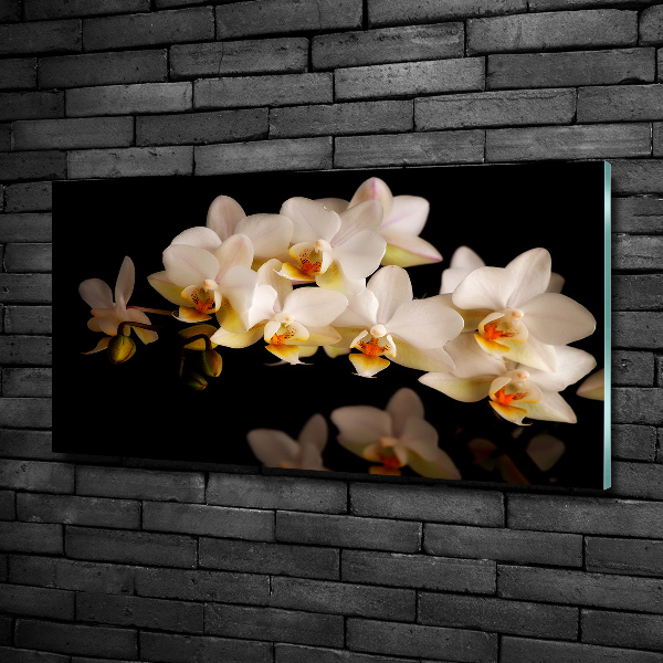 Quadro in vetro Orchidea