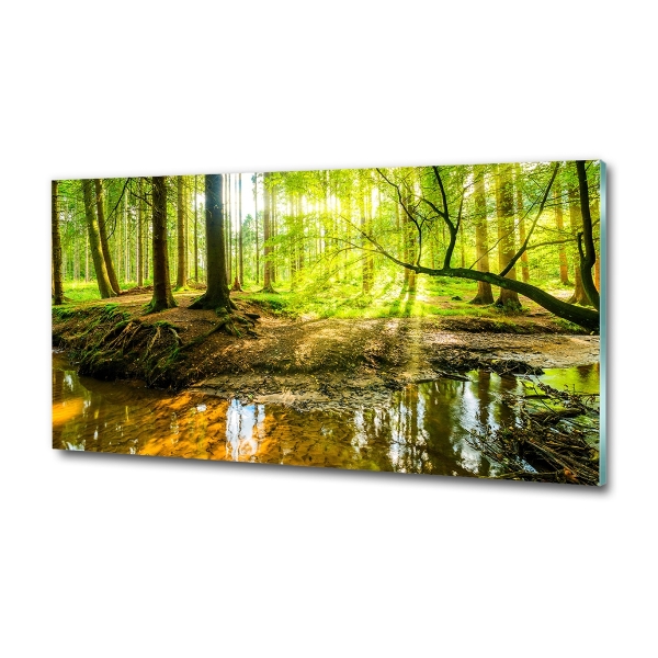 Quadro vetro Uno stagno nella foresta