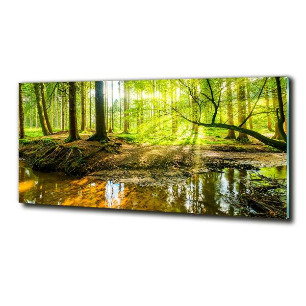 Quadro vetro Uno stagno nella foresta