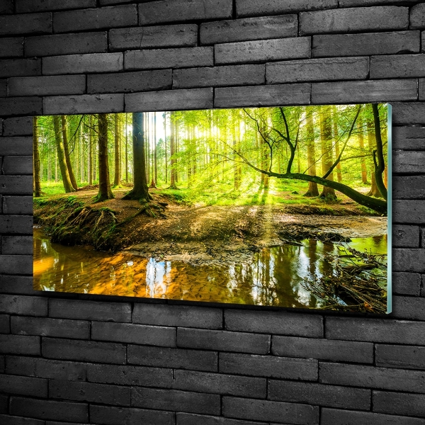 Quadro vetro Uno stagno nella foresta
