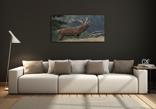 Quadro su vetro Cervi sulla collina