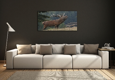 Quadro su vetro Cervi sulla collina