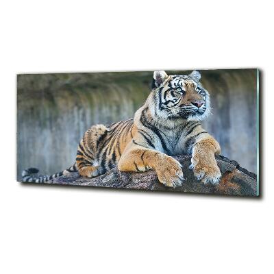 Quadro vetro Tigre