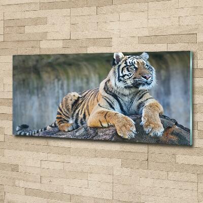 Quadro vetro Tigre