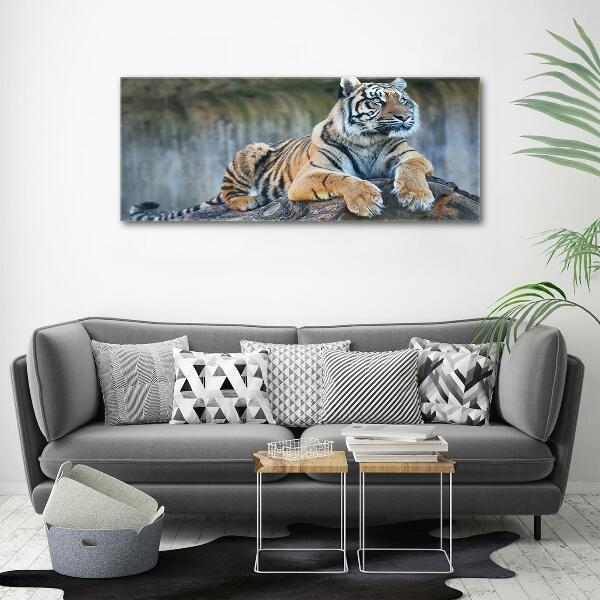 Quadro vetro Tigre