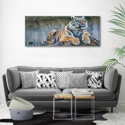 Quadro vetro Tigre