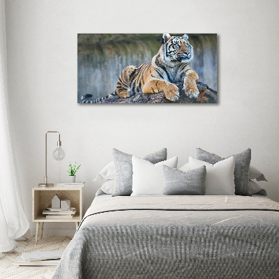 Quadro vetro Tigre
