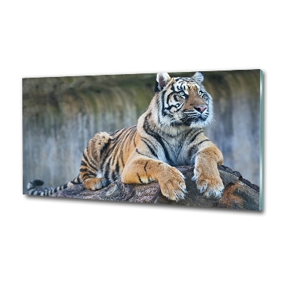 Quadro vetro Tigre