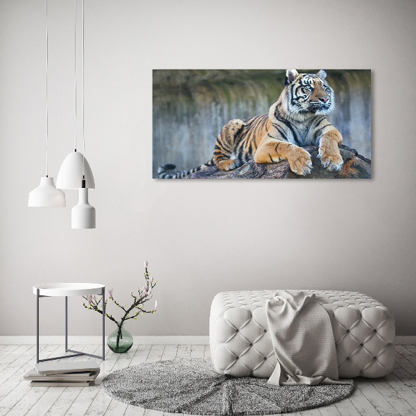 Quadro vetro Tigre