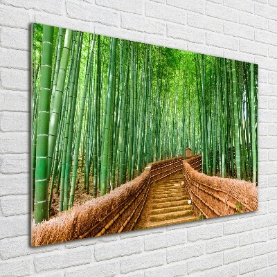 Quadro su vetro Foresta di bambù