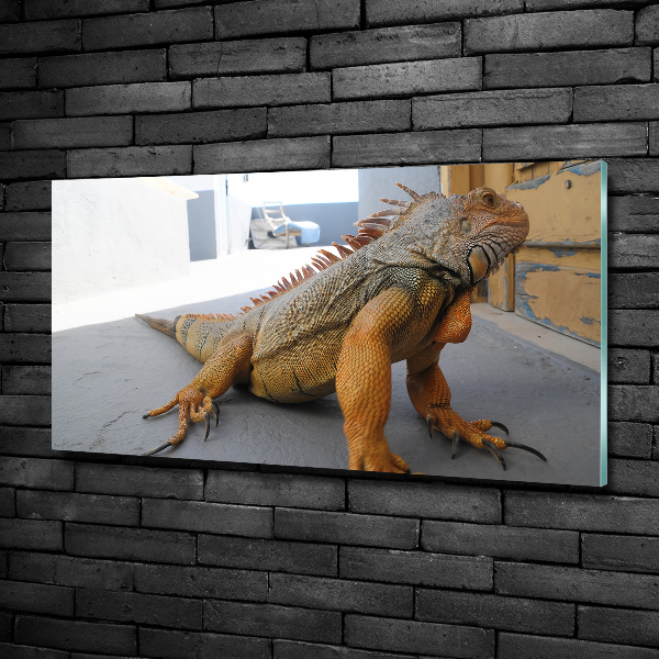 Quadro in verde Iguana