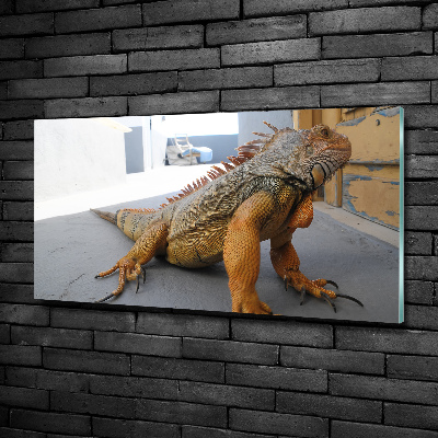 Quadro in verde Iguana
