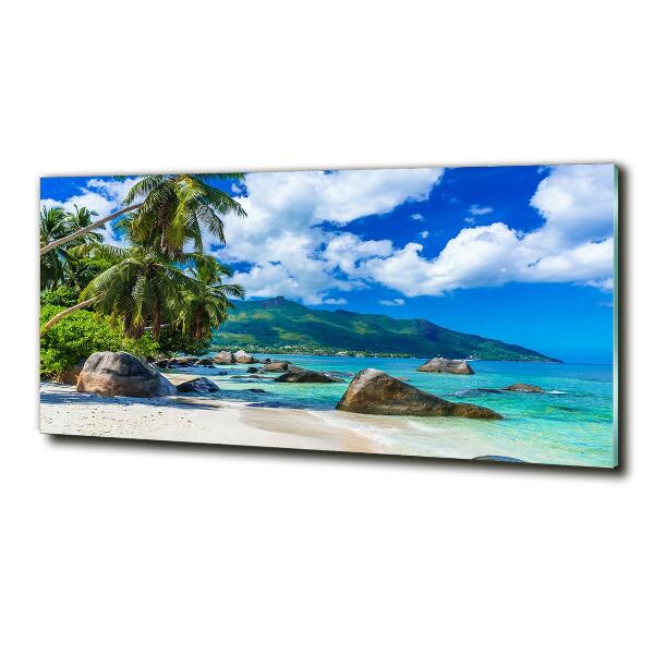 Quadro in verde Spiaggia delle Seychelles