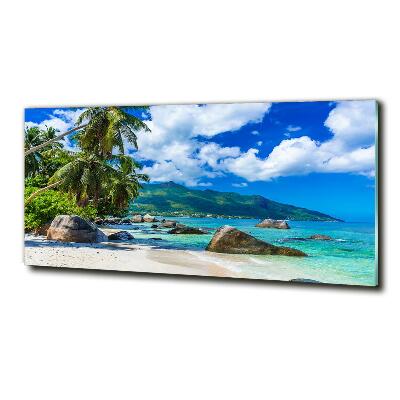 Quadro in verde Spiaggia delle Seychelles