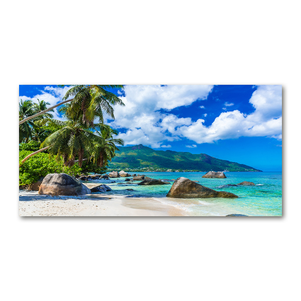 Quadro in verde Spiaggia delle Seychelles